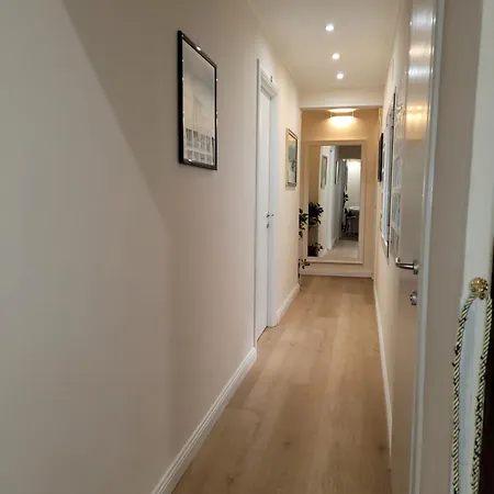 常青树酒店 罗马