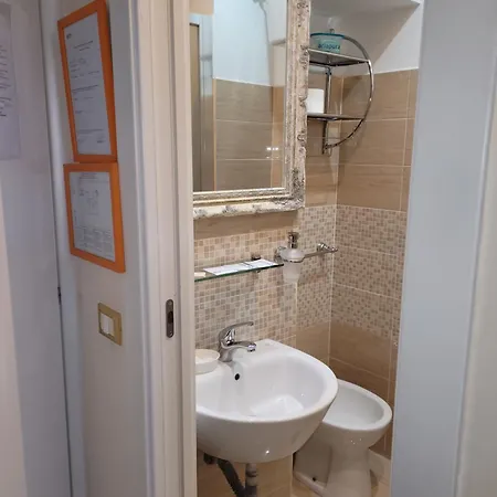 常青树酒店 4* 罗马