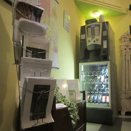 招待所 常青树酒店 4*