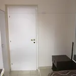 常青树酒店 招待所