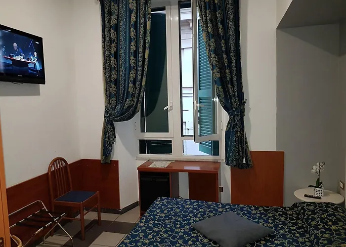 常青树酒店 招待所 4*