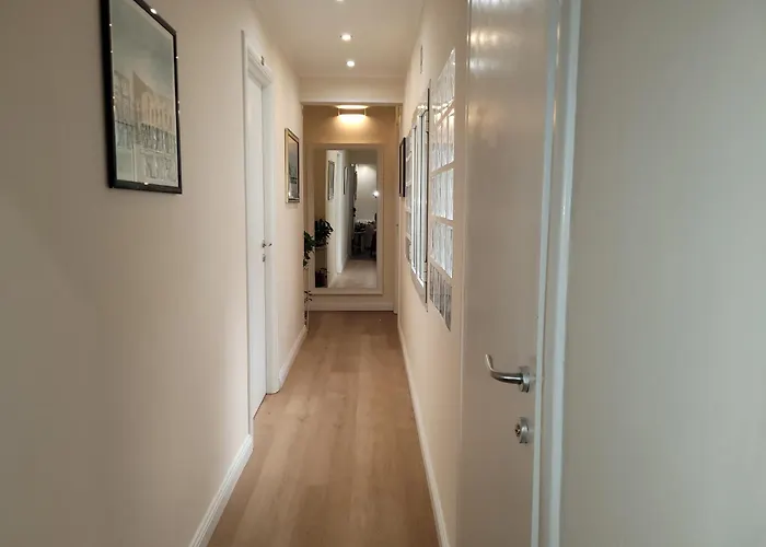 常青树酒店 招待所