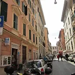 Evergreen Roma